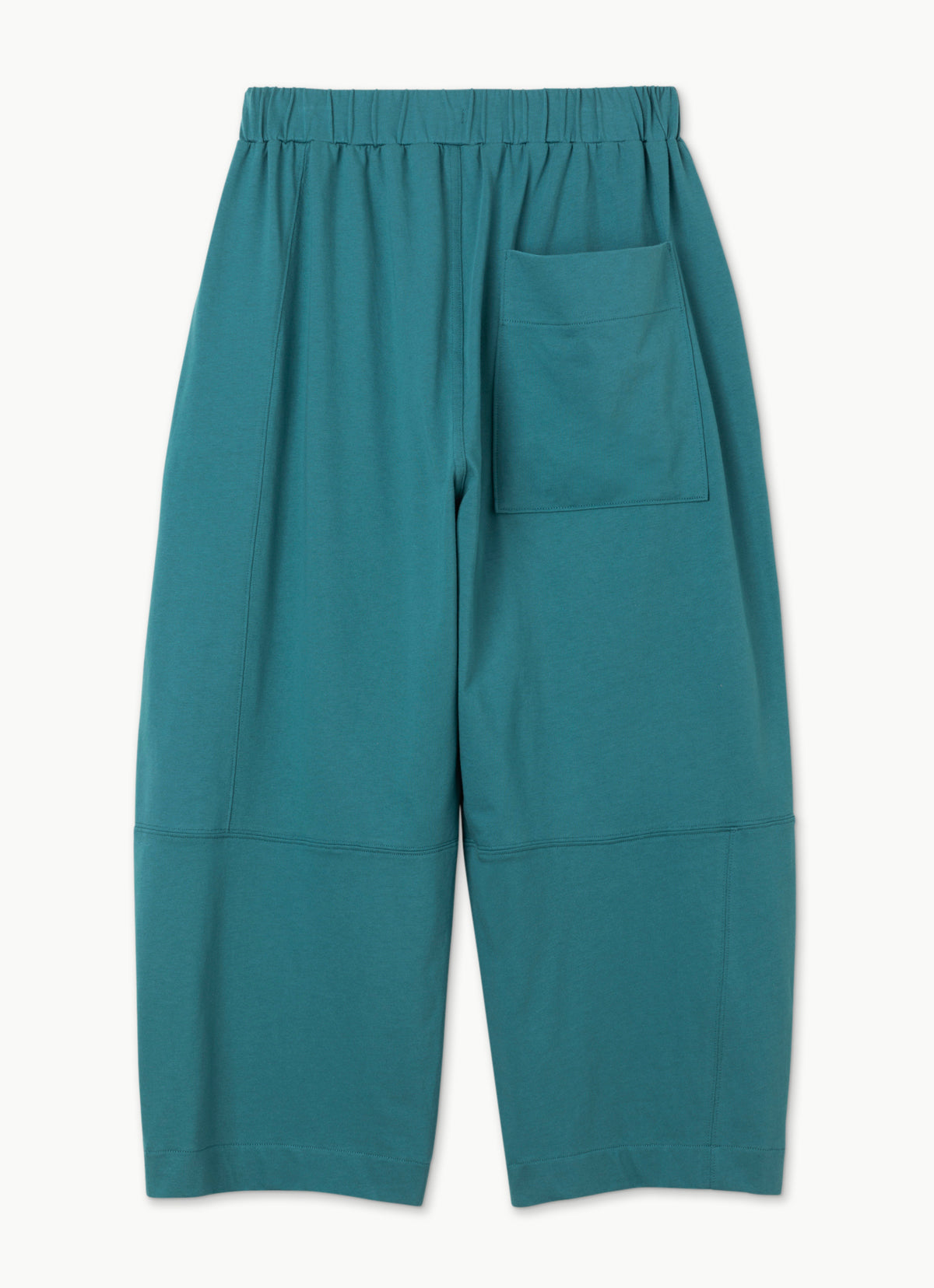 Wide panel pants (Unisex)_Turquoise