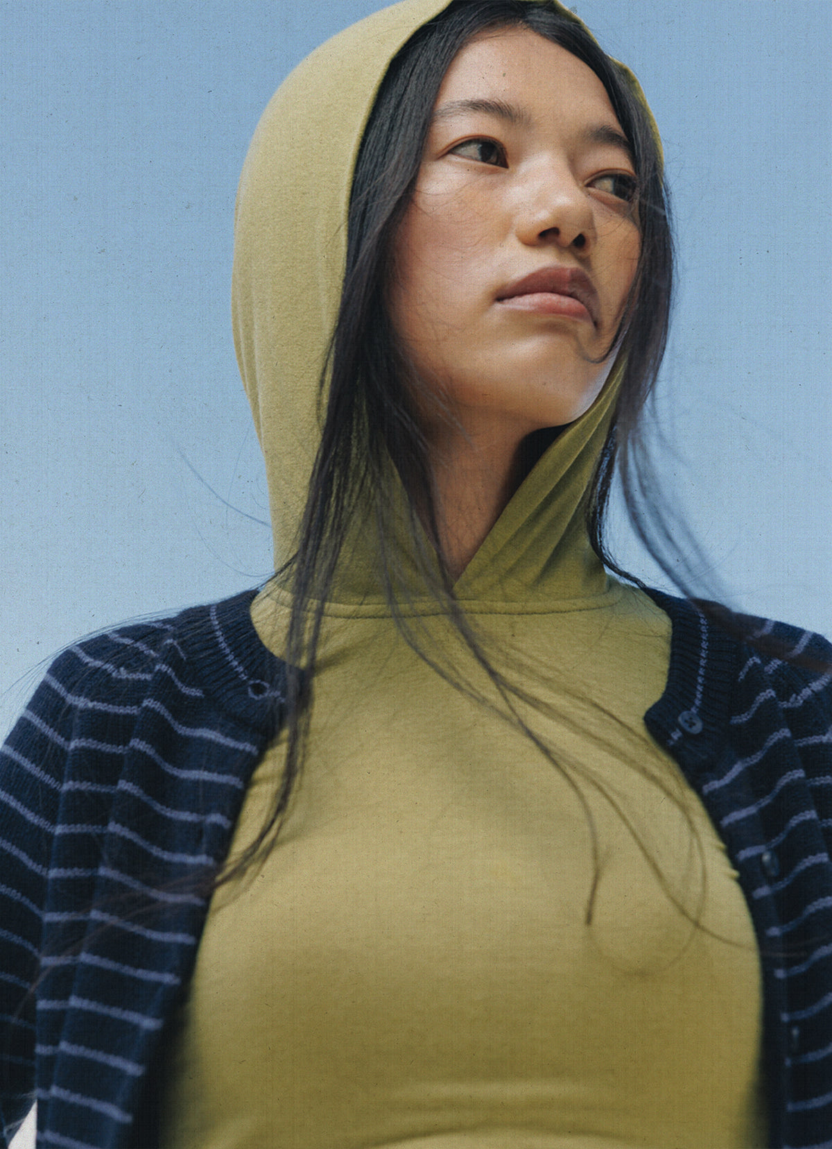 Soft hoodie #2_Split Pea